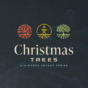 Year C - Midweek Advent - Christmas Trees - Low Res Web File - English.jpg