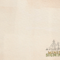 Year B - SAP - Meaningful Ministry - Espanol - Sm - 16x9.jpg