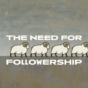 Year B - SAP - The Need for Followership - English - Title - Facebook Post.jpg