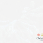 Year C - Midweek Advent - Christmas Trees - Background Slide - 4x3.jpg