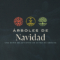 Year C - Midweek Advent - Christmas Trees - Spanish - 4x3.jpg