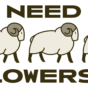 Year B - SAP - The Need for Followership - English - Color Logo - Dark.png