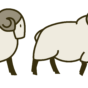Year B - SAP - The Need for Followership - The Sheep.png